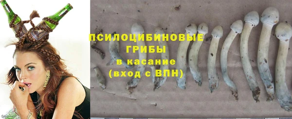 молекула духа Медногорск