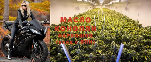 молекула духа Медногорск