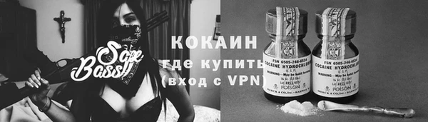 молекула духа Медногорск
