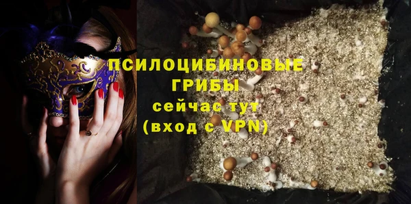 ПСИЛОЦИБИНОВЫЕ ГРИБЫ Мегион