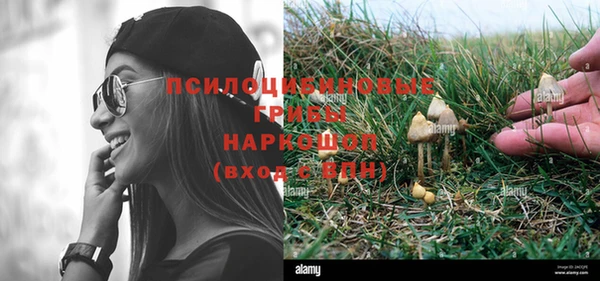 прущая мука Медвежьегорск