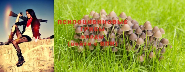 прущая мука Медвежьегорск
