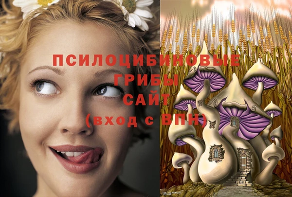 молекула духа Медногорск