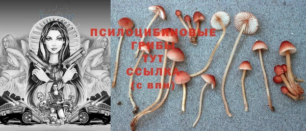 прущая мука Медвежьегорск