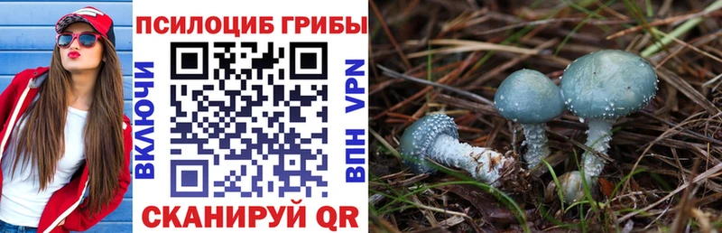 Псилоцибиновые грибы Psilocybe  Купить  Зуевка 